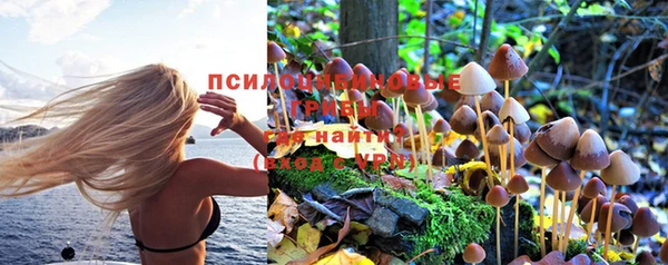 эйфоретик Коряжма