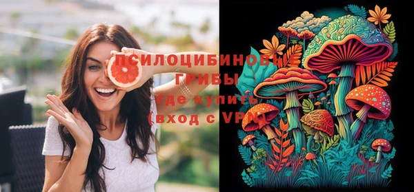 не бодяженный Туринск