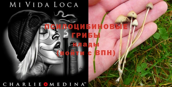 меф Костерёво