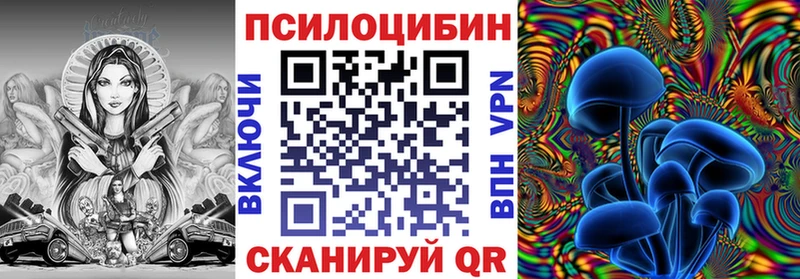 Галлюциногенные грибы Psilocybine cubensis  Купить закладки  Козельск 